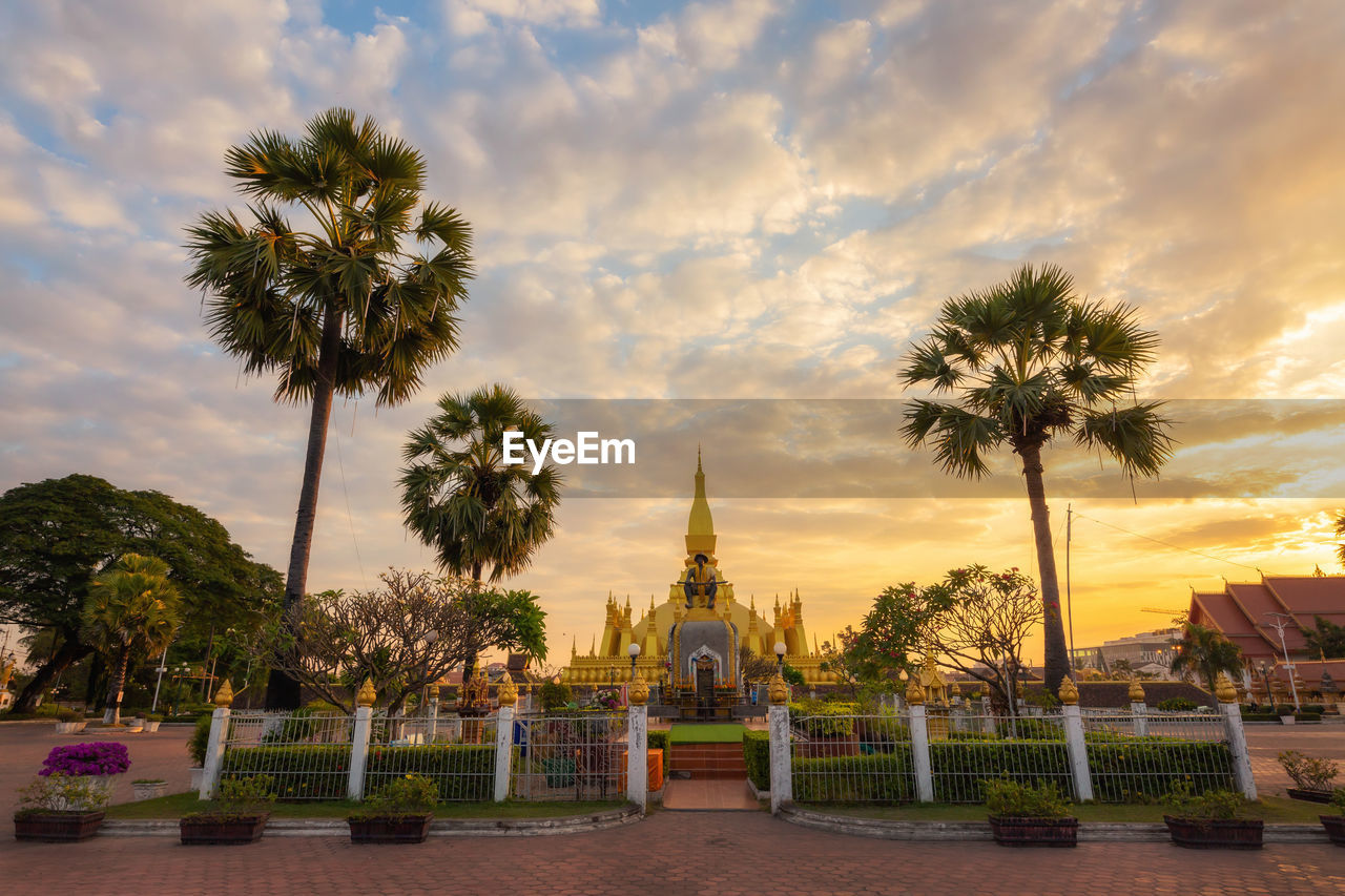 Palm trees against sky at sunset