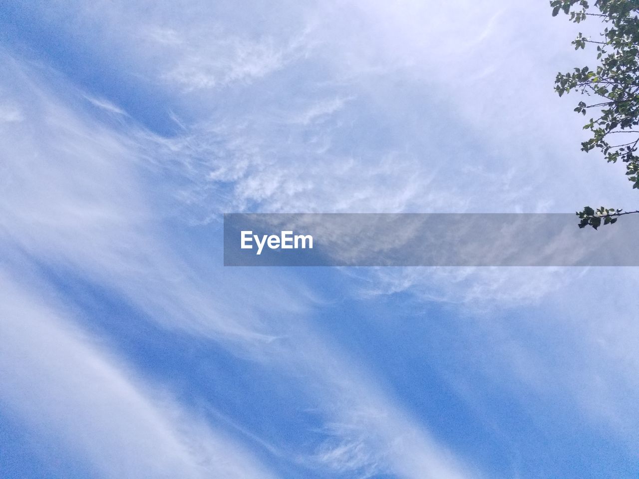 LOW ANGLE VIEW OF VAPOR TRAIL AGAINST SKY