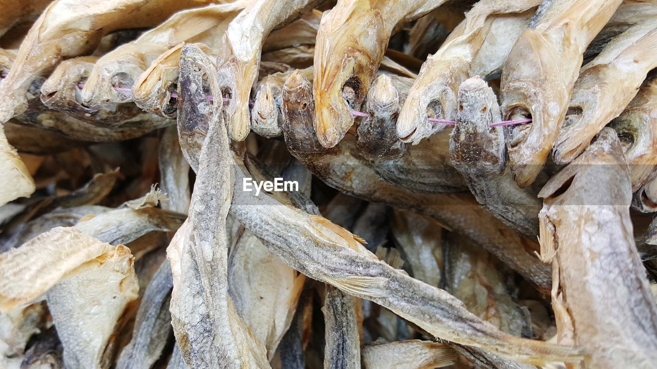 FULL FRAME SHOT OF DRIED LEAVES