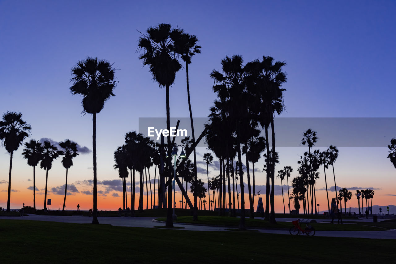 SILHOUETTE PALM TREES AGAINST SKY AT SUNSET