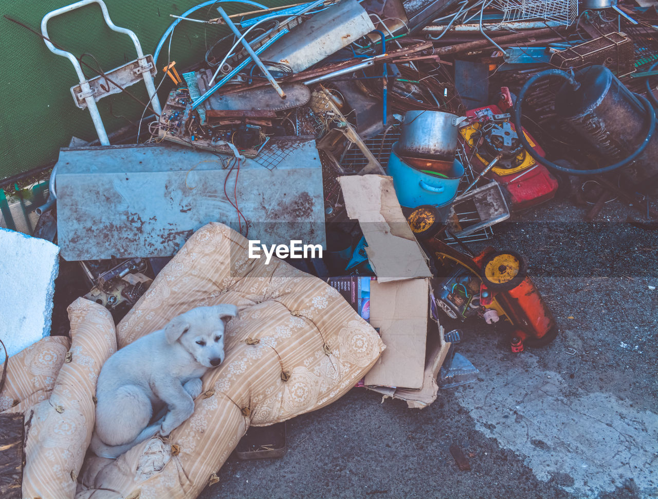 HIGH ANGLE VIEW OF STUFFED TOY ON GARBAGE