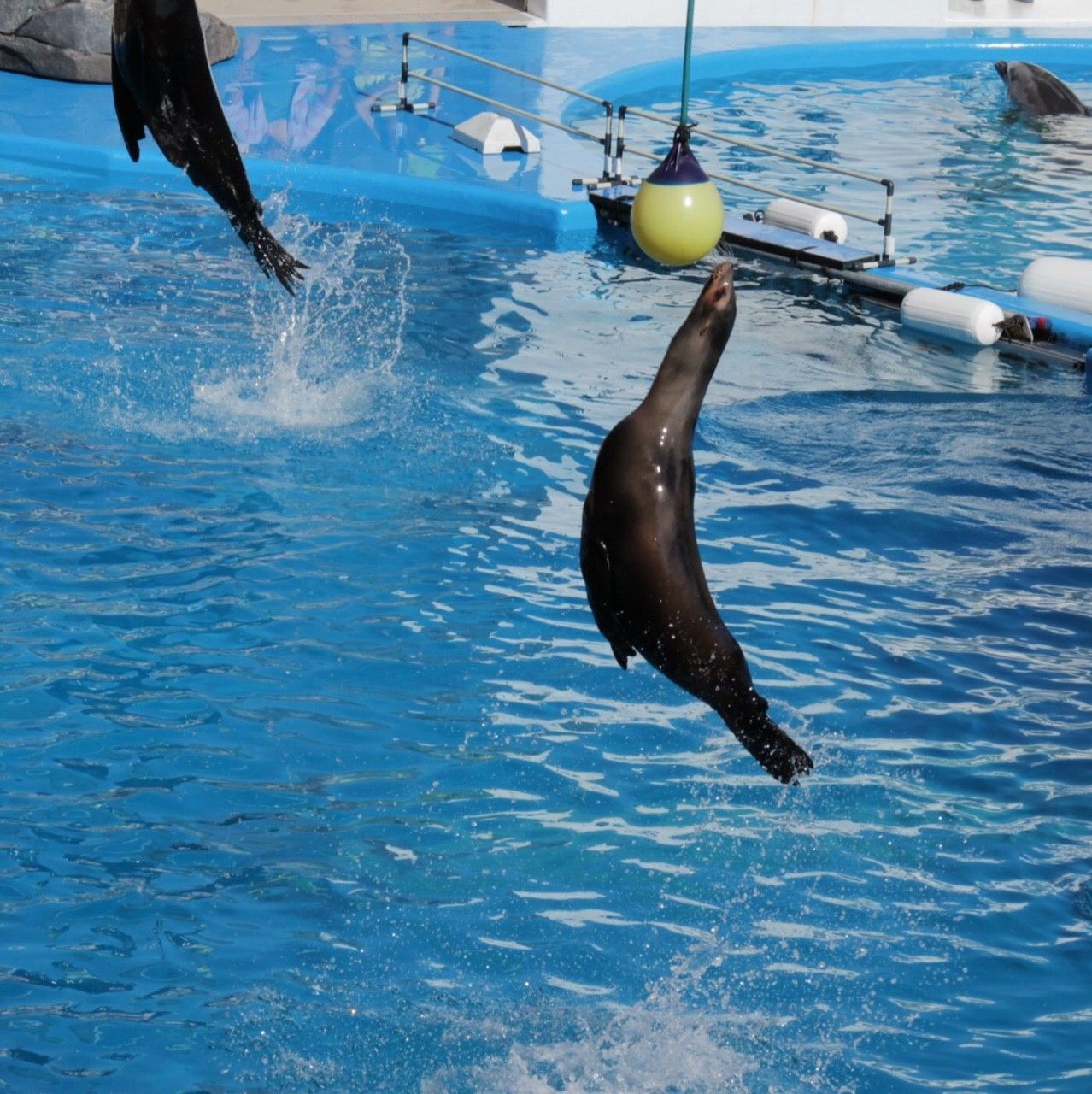 WAVES SPLASHING IN SEA