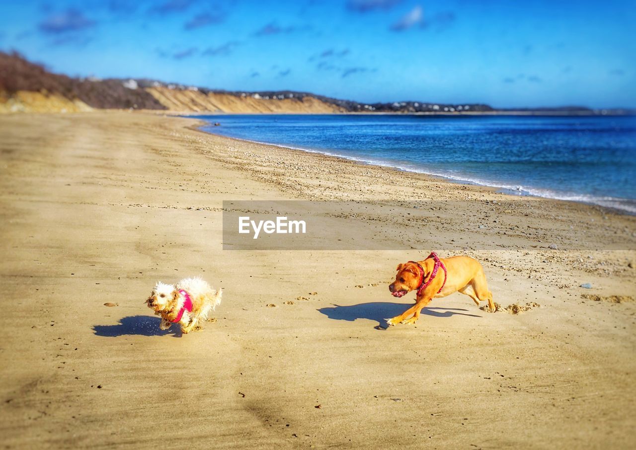 Scenic view of beach against cloudy sky