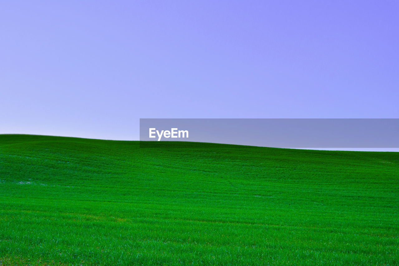 Scenic view of grassy field against blue sky