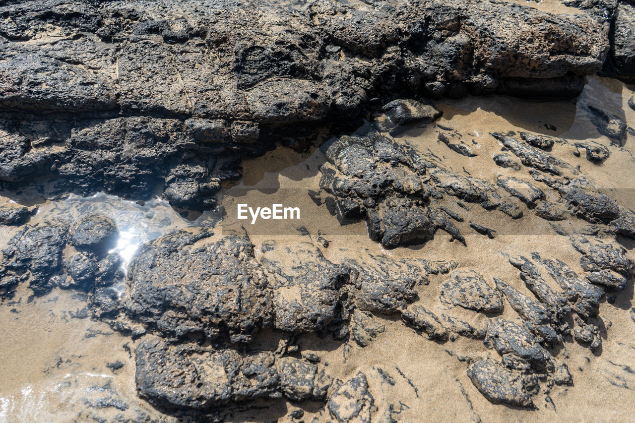 High angle view of rocks on beach