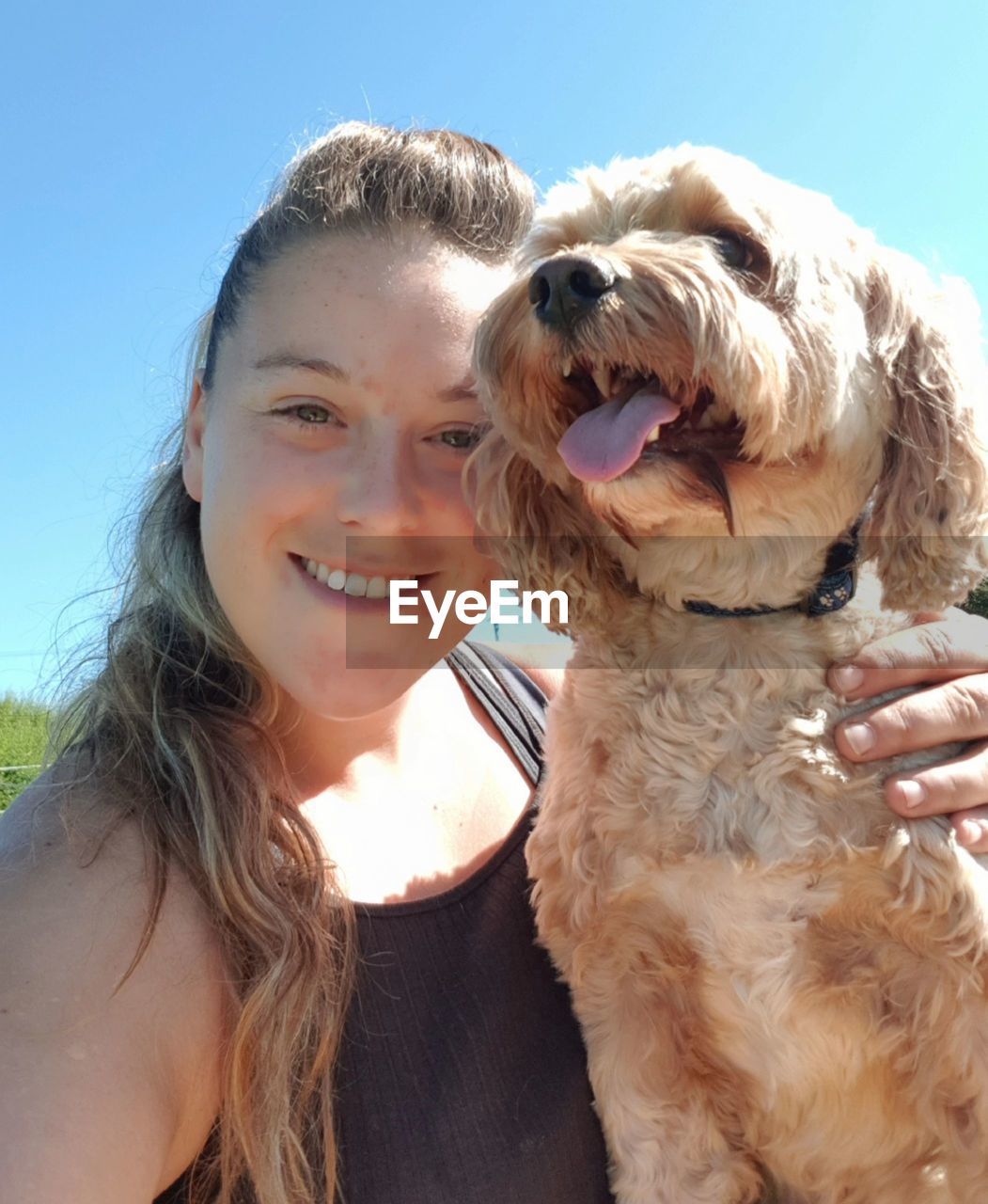 Portrait of smiling mid adult woman with dog standing against clear blue sky during sunny day