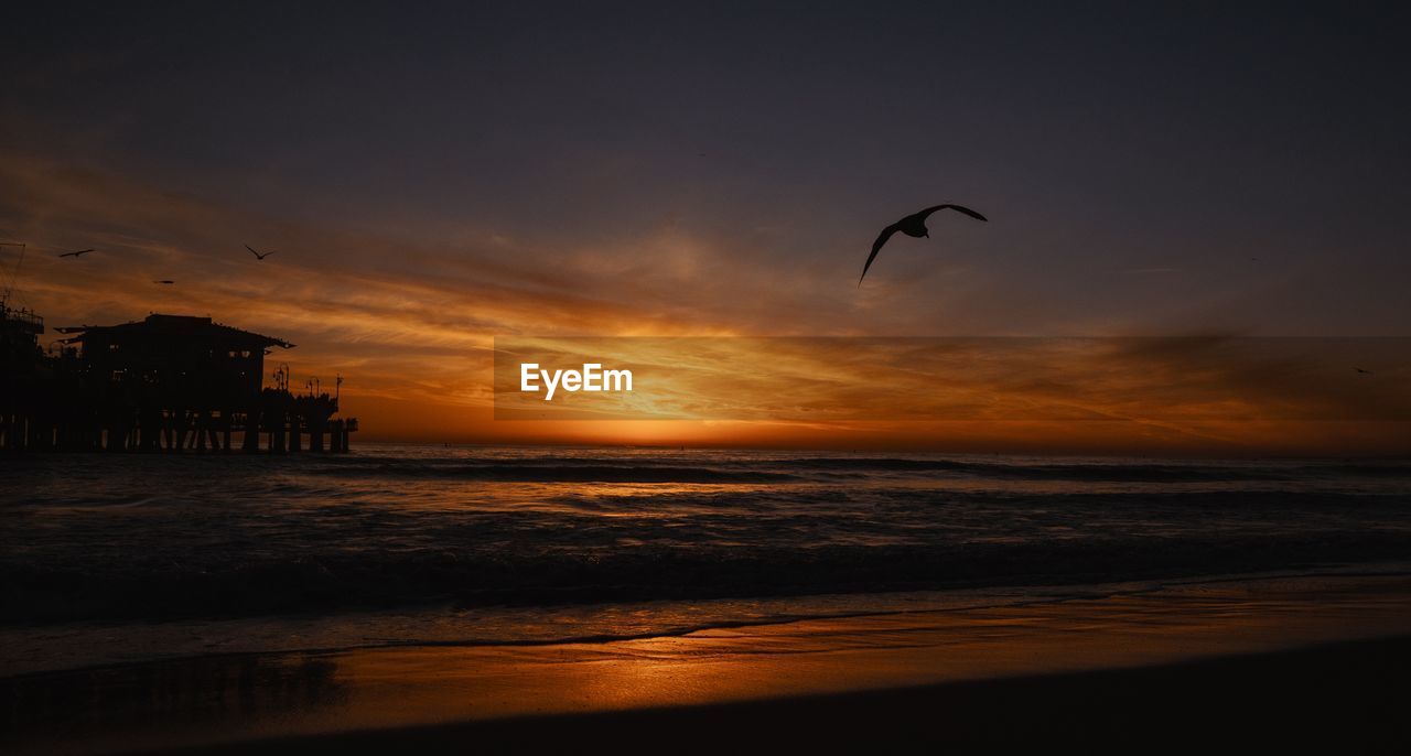 Scenic view of sea with bird flying against sky during sunset