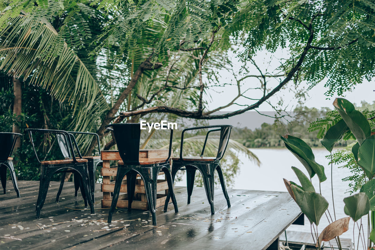 EMPTY CHAIRS AND TABLE AGAINST TREES DURING RAIN