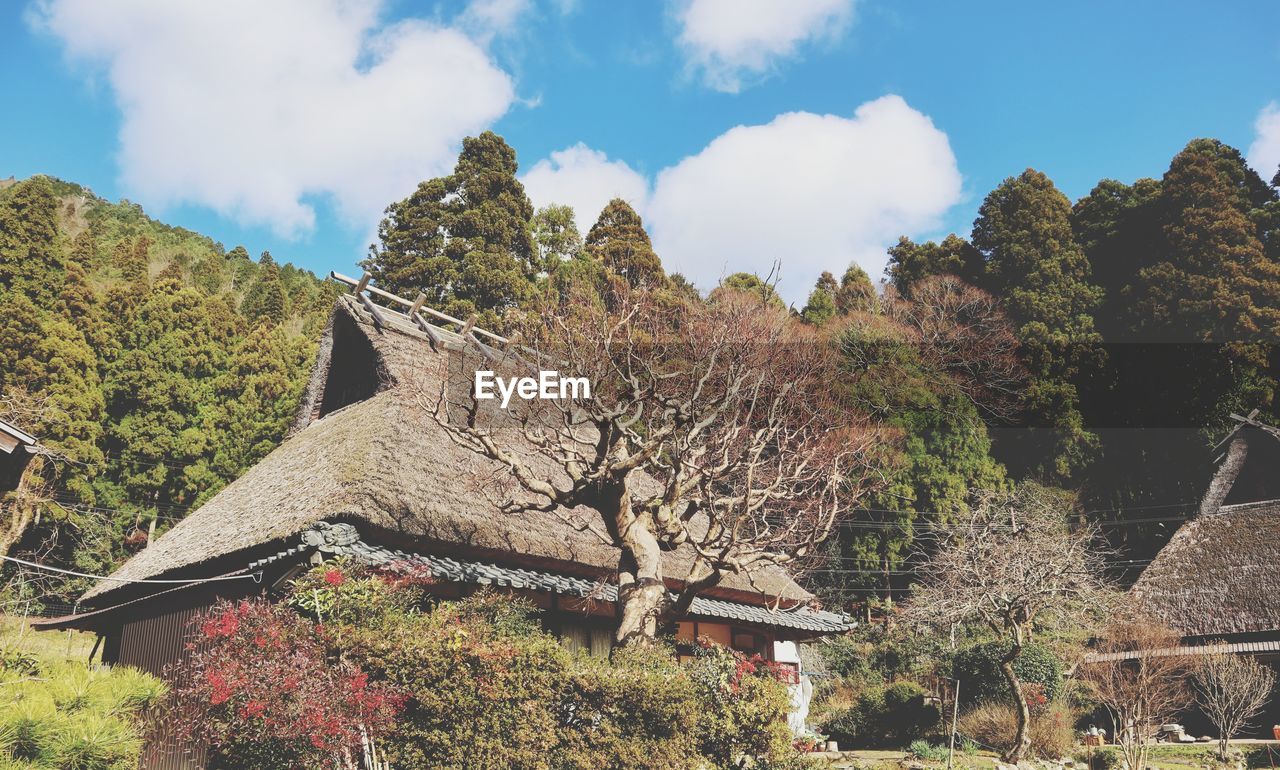 Japanese traditional house