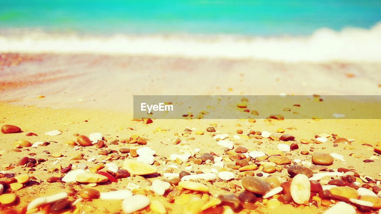 CLOSE-UP OF PEBBLES ON SAND AT BEACH AGAINST SKY