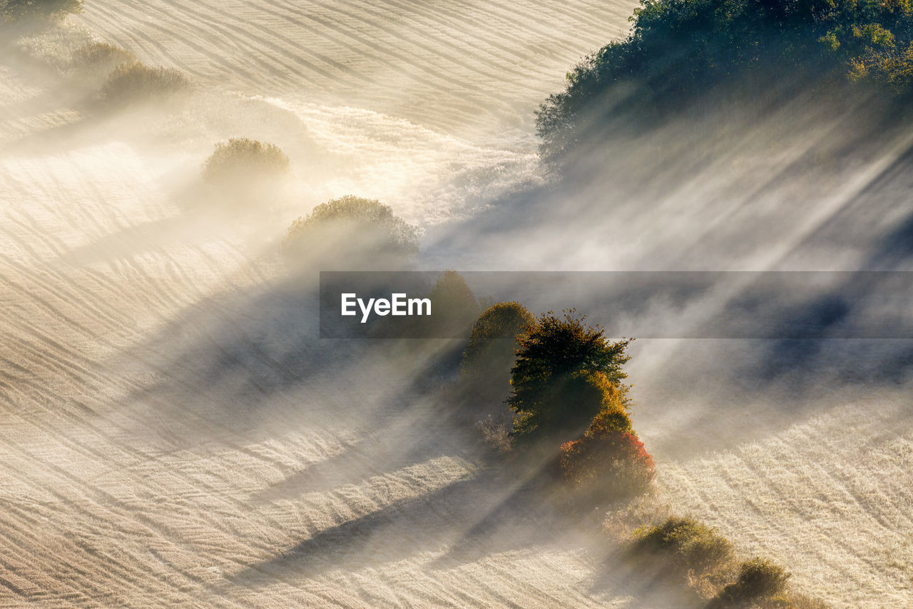 High angle view of trees on land against sky