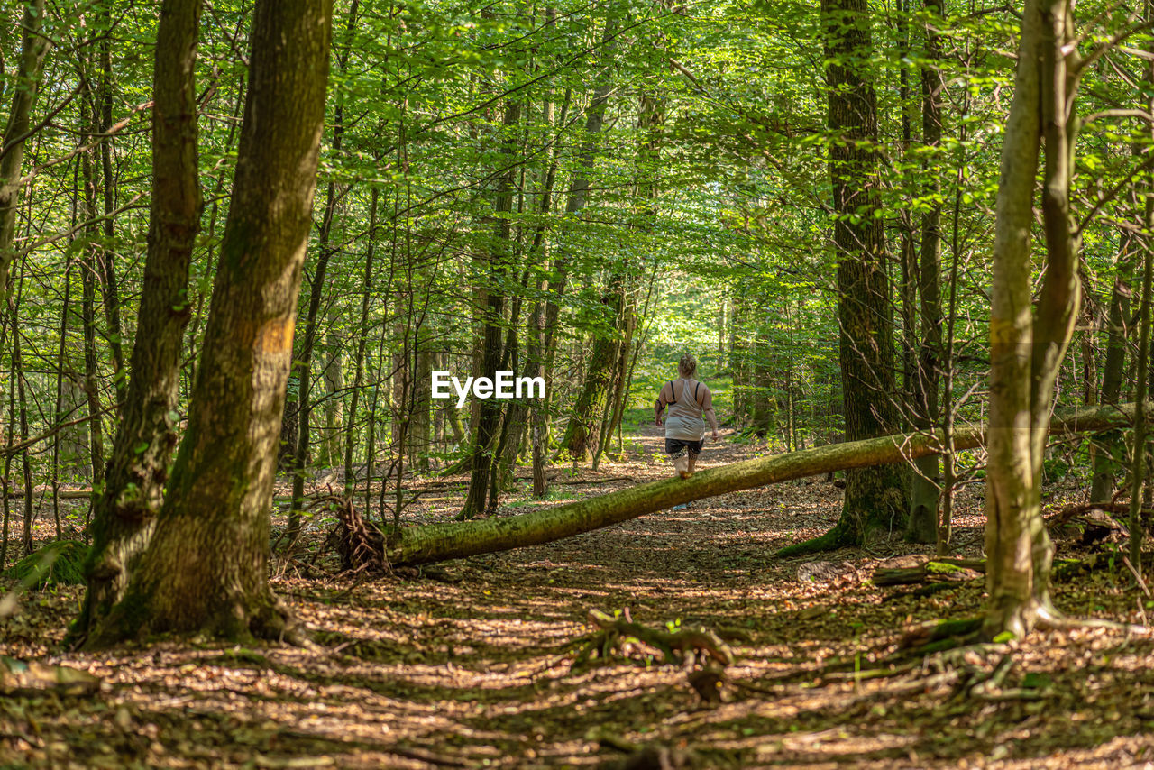 VIEW OF MAN WALKING IN FOREST