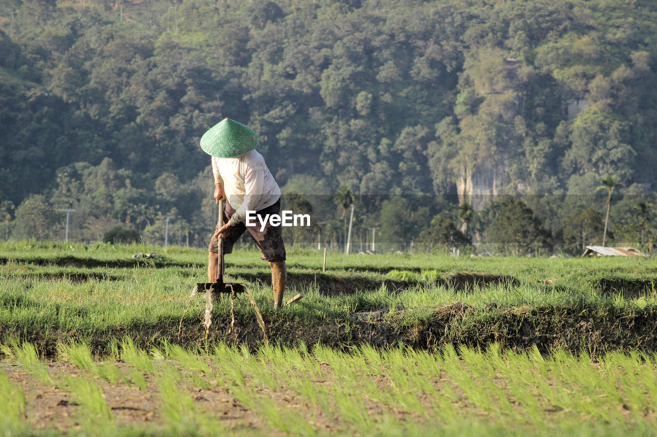 Side view of person working on field