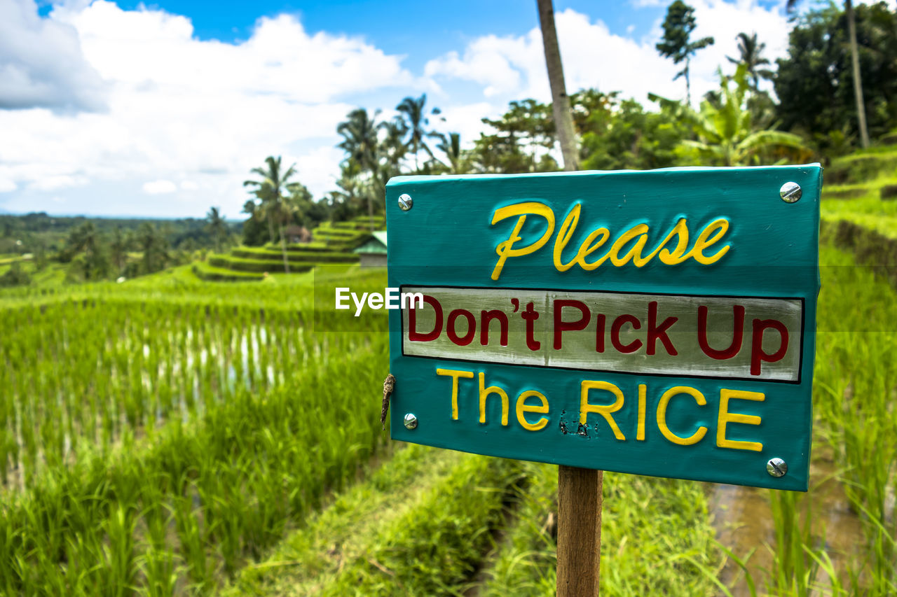 Information sign on field - rice paddy indonesia