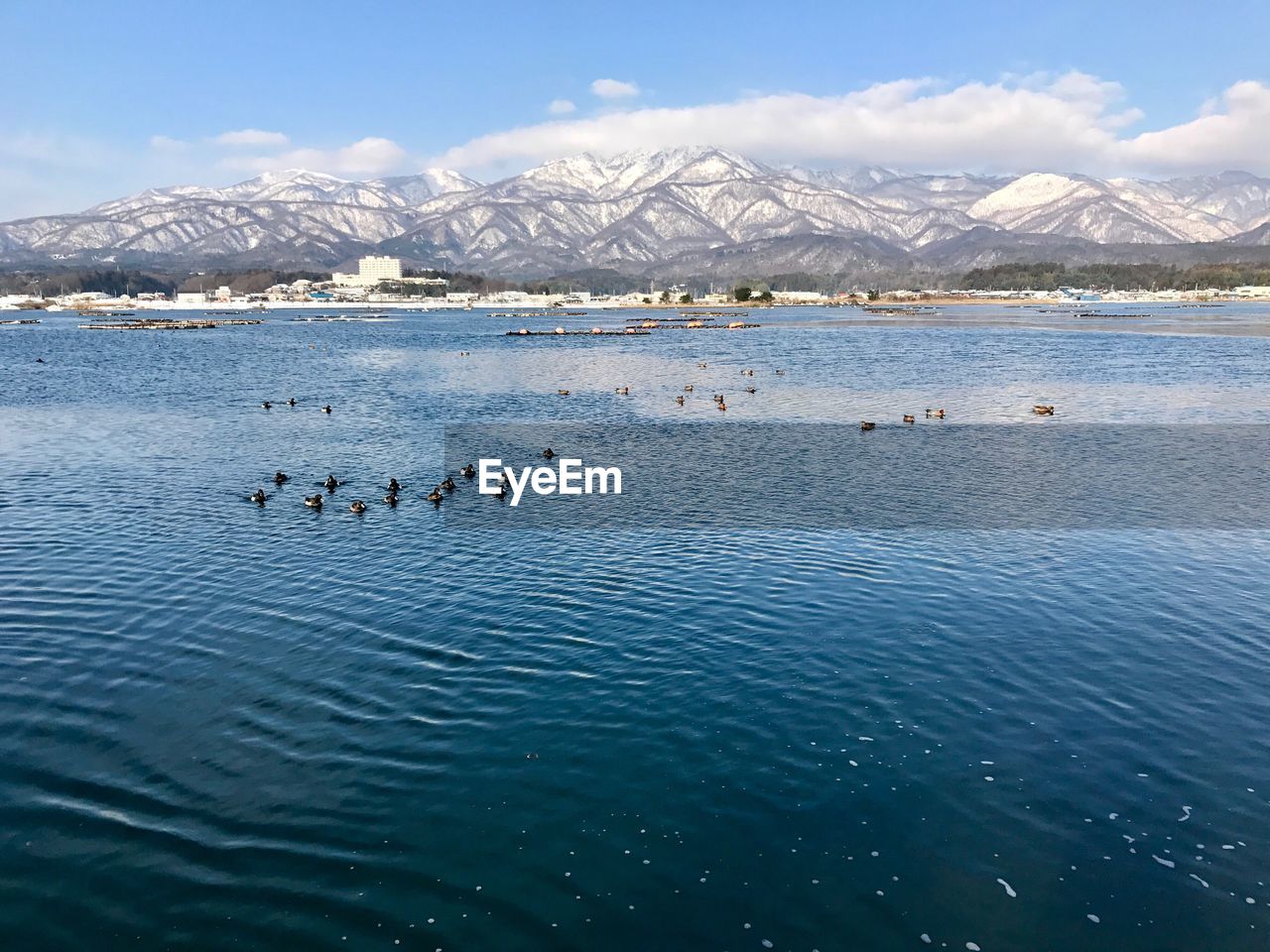 SWAN SWIMMING IN LAKE AGAINST MOUNTAINS