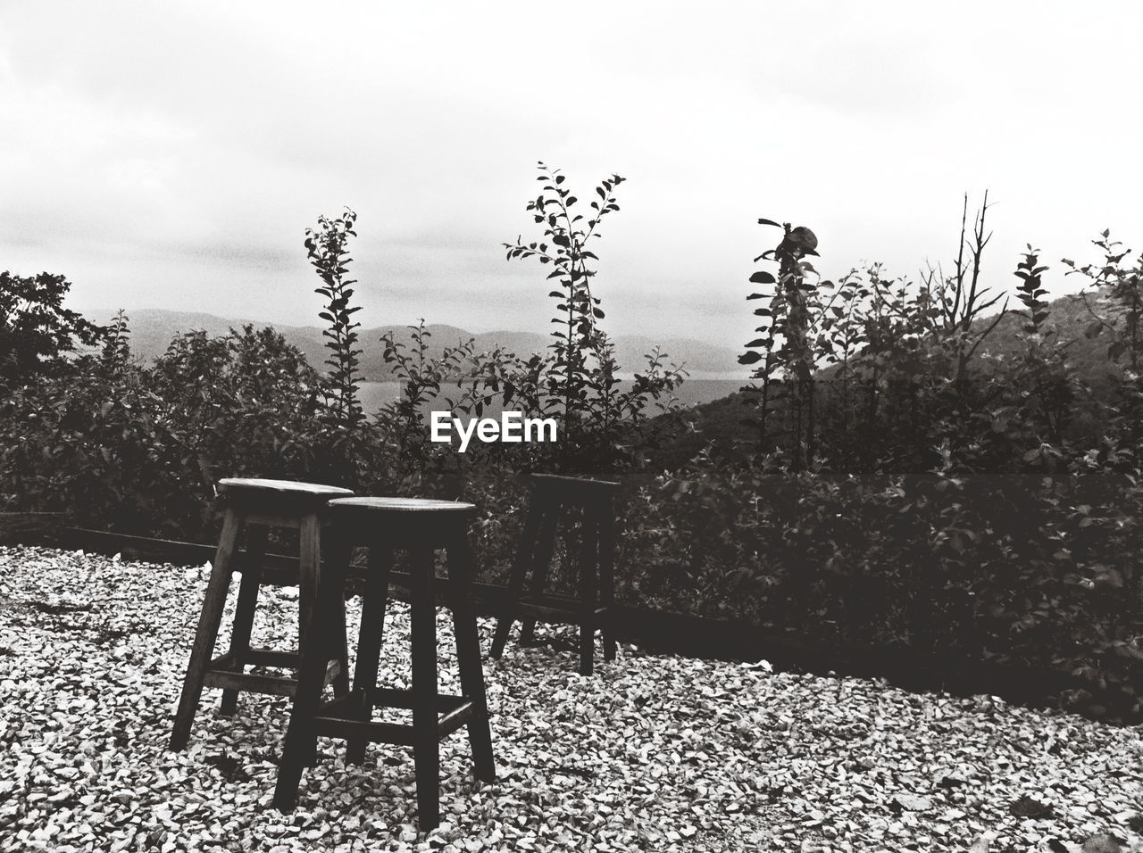 Empty stools in garden