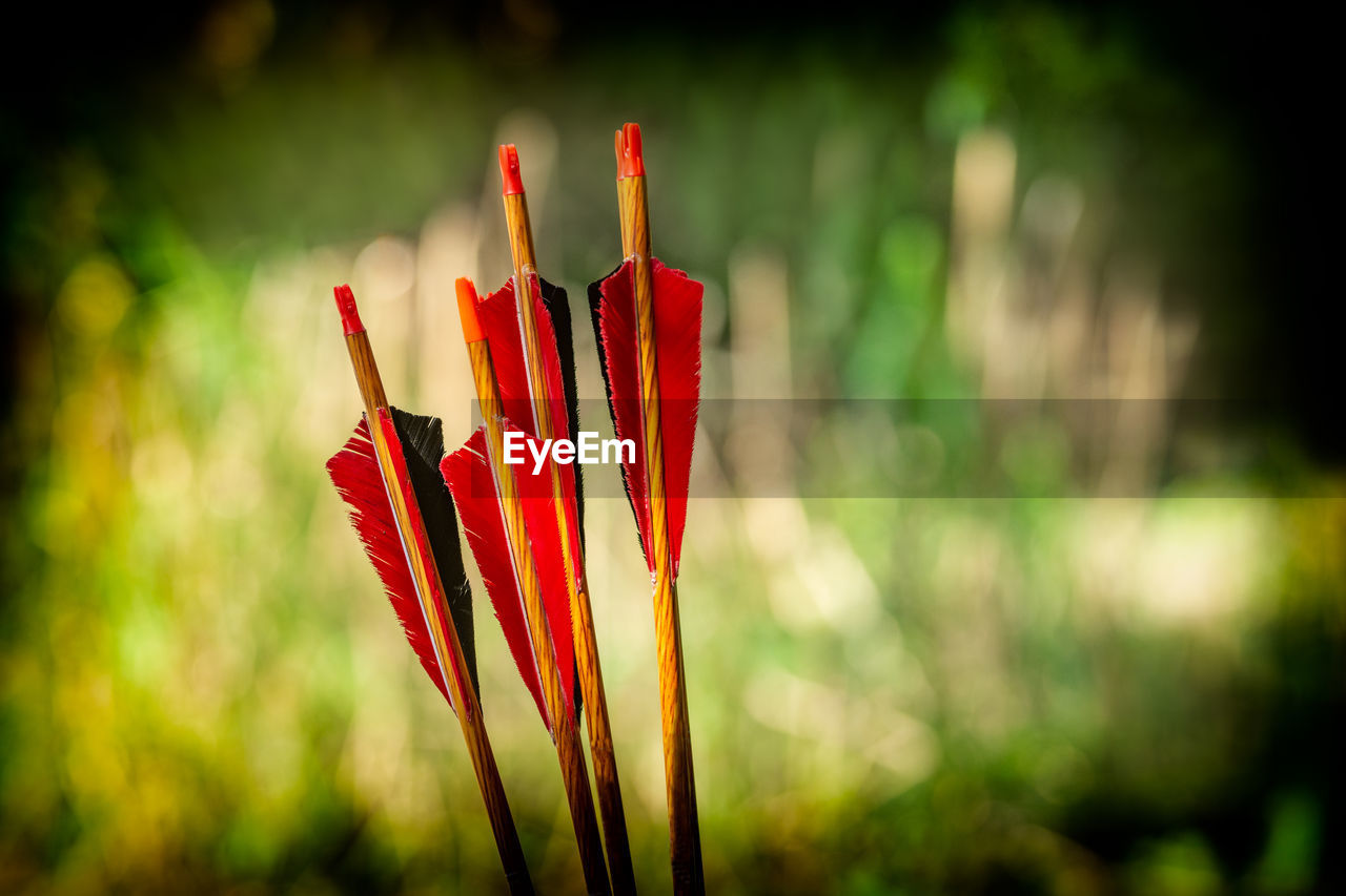 CLOSE-UP OF COLORED PENCILS OUTDOORS