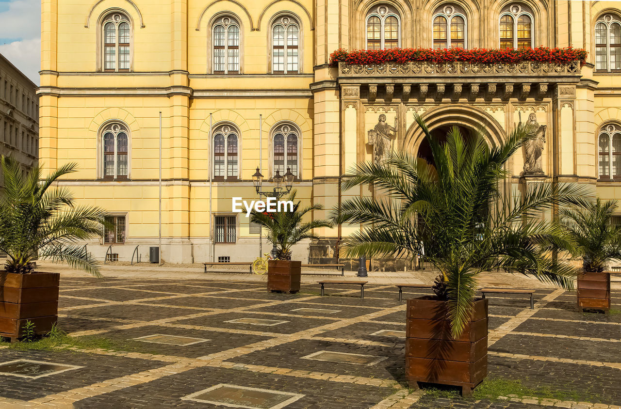 POTTED PLANTS AGAINST BUILDING