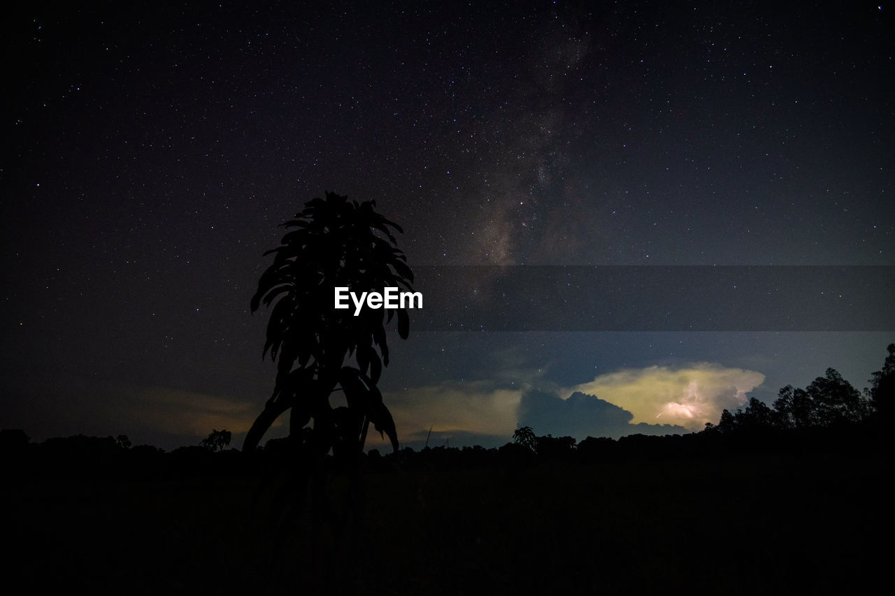 Low angle view of silhouette trees against sky at night