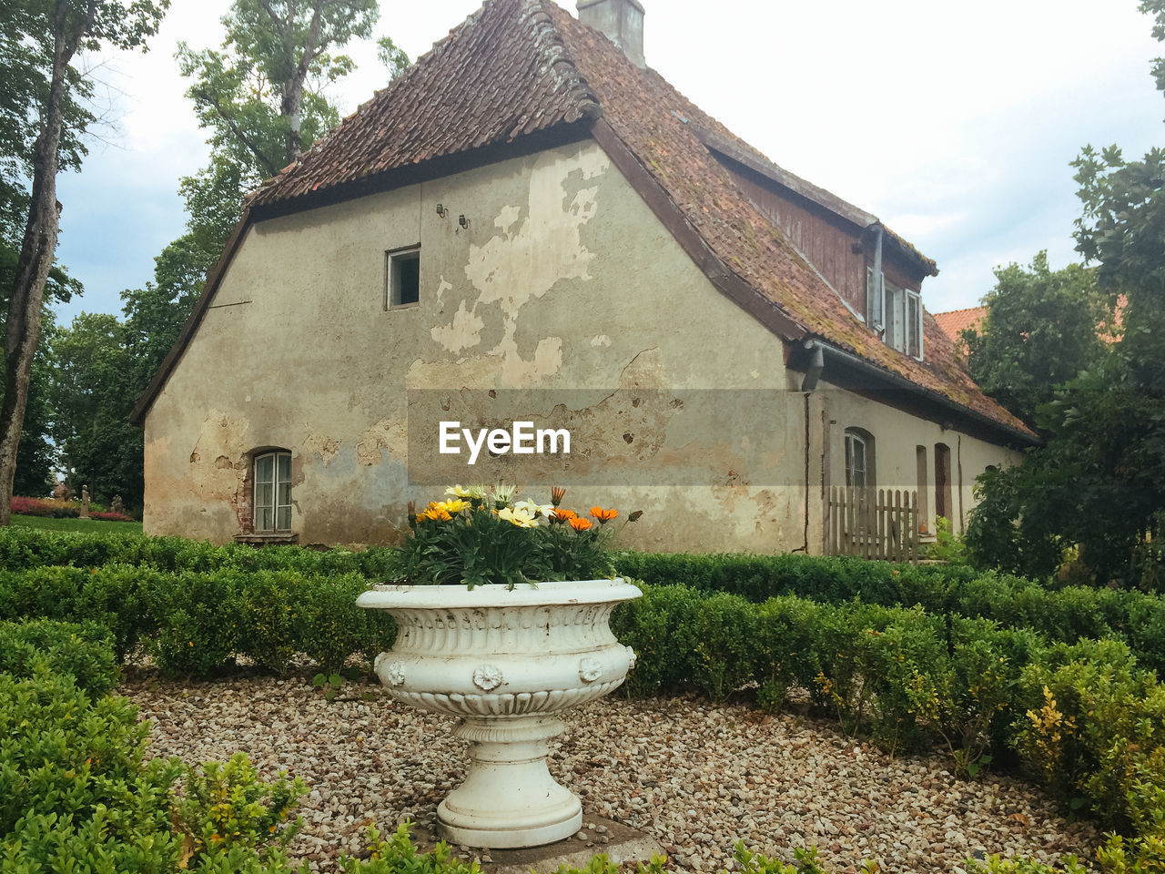 VIEW OF PLANTS GROWING ON HOUSE