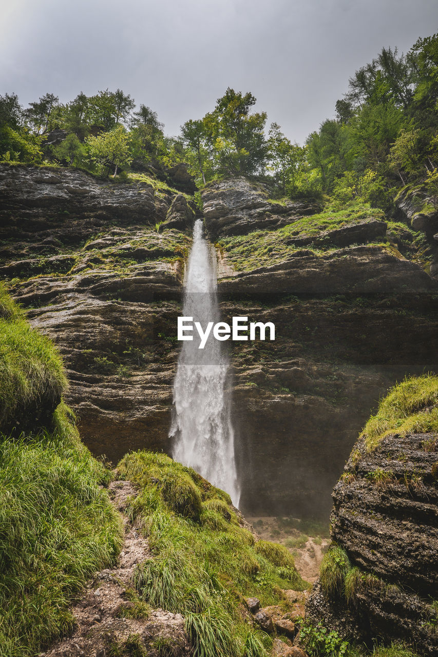 Scenic view of waterfall in forest