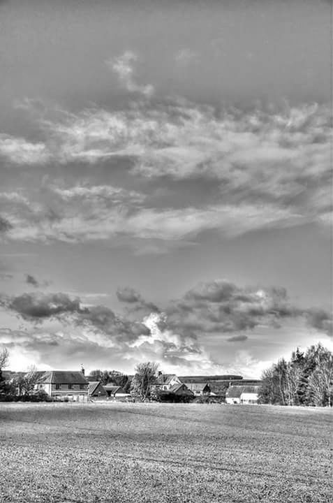 TREES ON FIELD AGAINST CLOUDY SKY