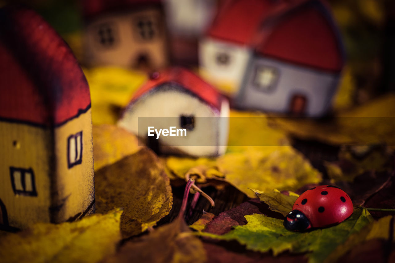 Close-up of wooden houses and artificial lady bug decorated on table