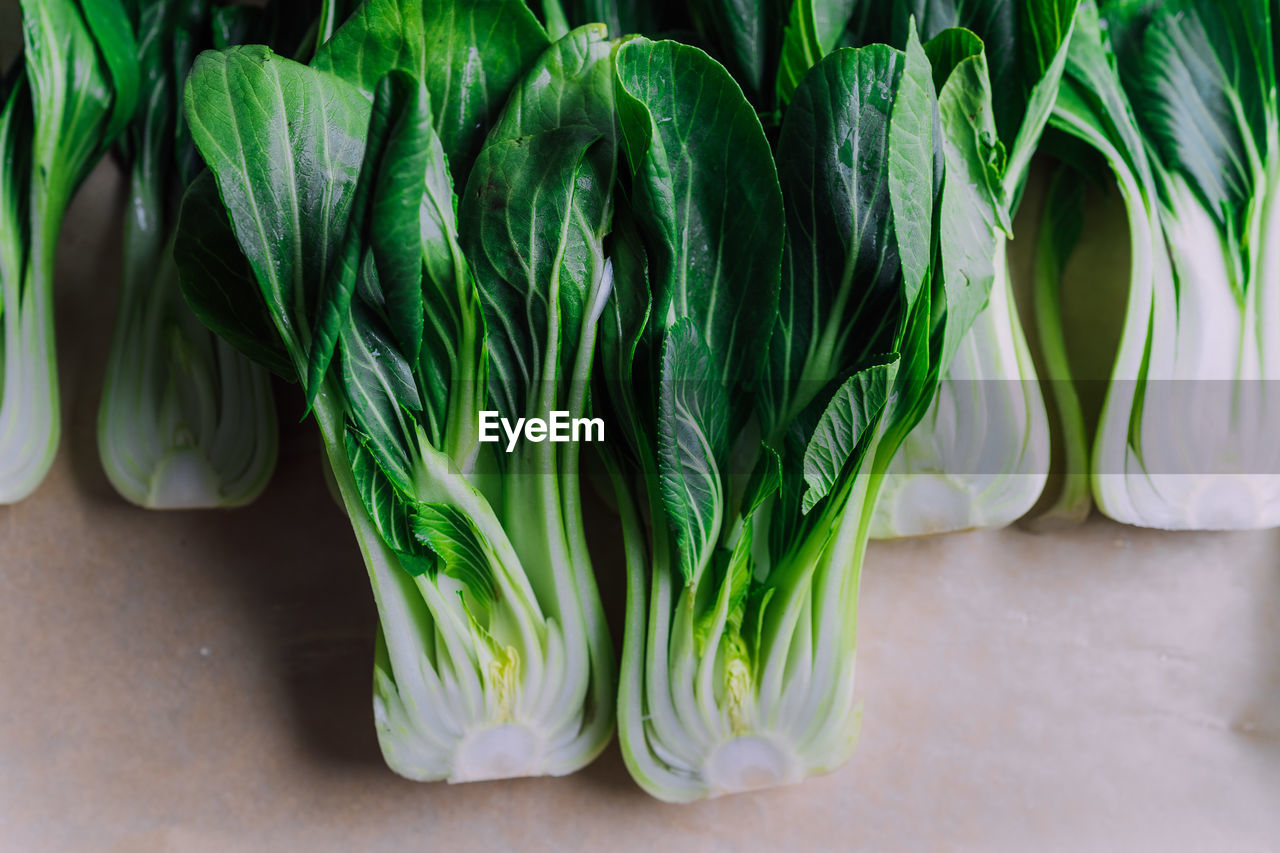 Dark green fresh and juicy bokchoy ready for a salad grill