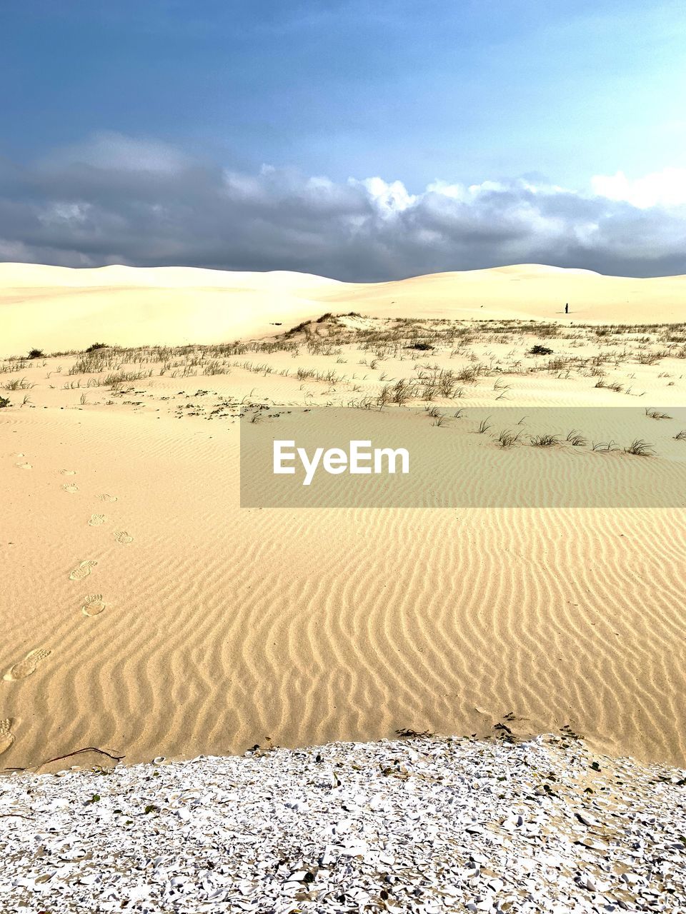 Scenic view of desert against sky