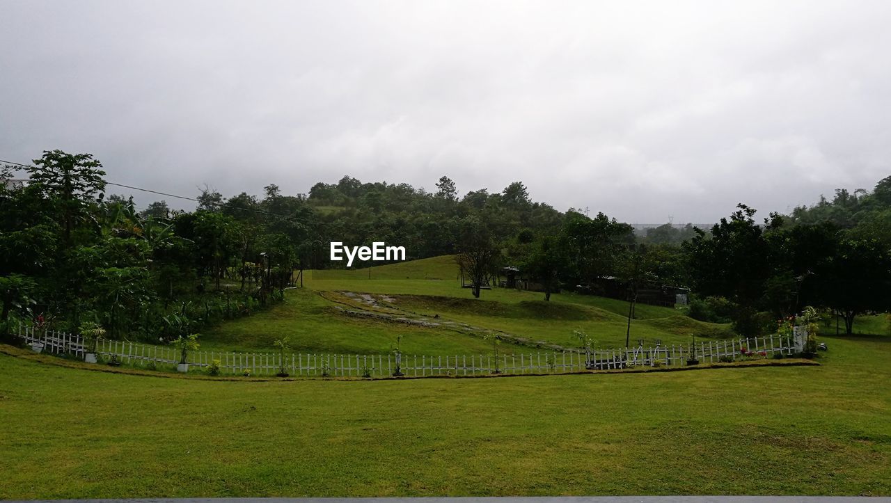 SCENIC VIEW OF GREEN LANDSCAPE AGAINST SKY