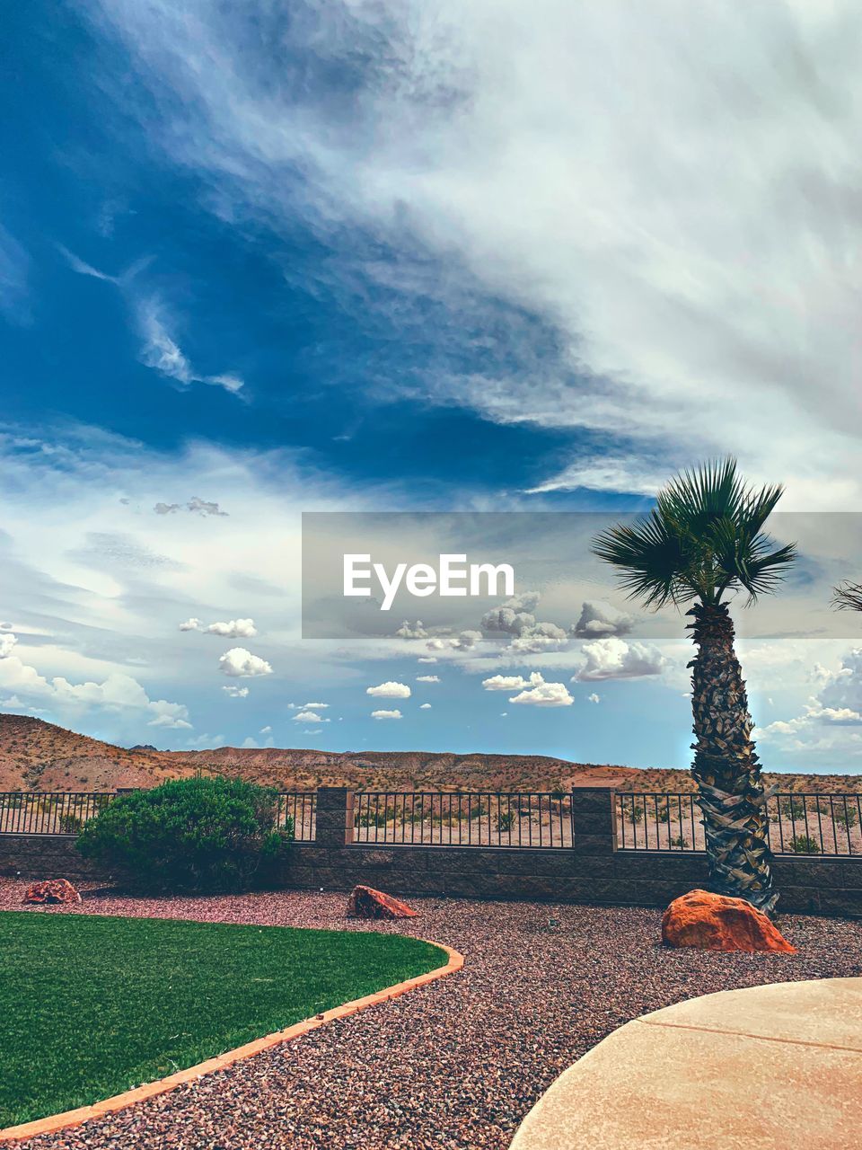 Palm tree on land against sky