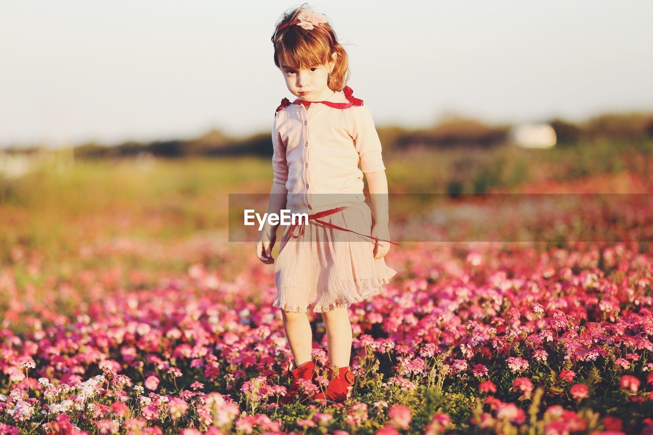 Portrait of cute girl standing amidst pink flowers on land
