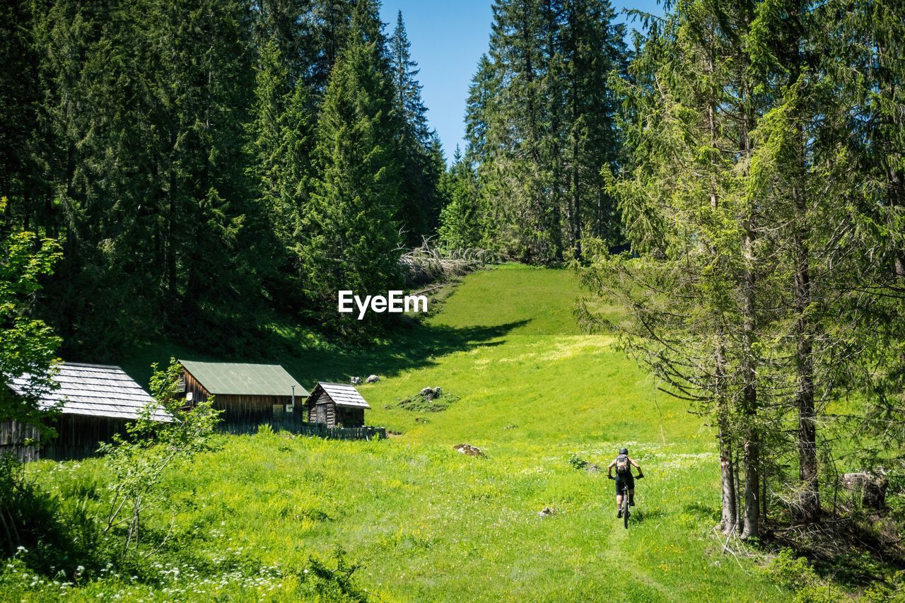 Woman mountain biking on footpath through alpine meadow, salzburg, austria