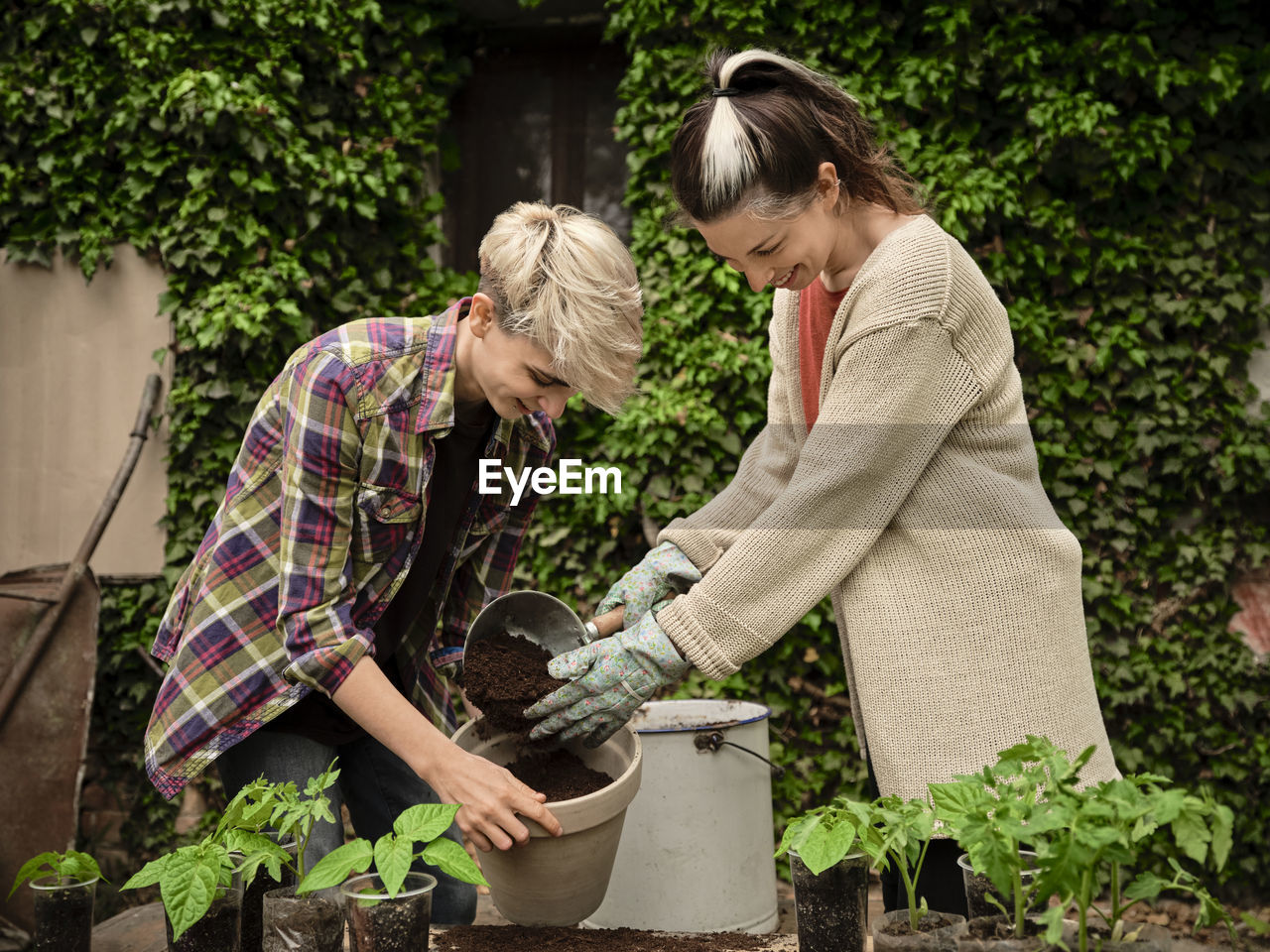 Smiling woman putting soil in flower pot held by female friend in backyard