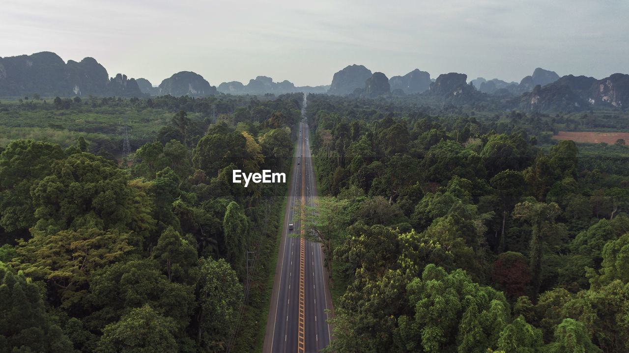 Panoramic view of road amidst trees against sky