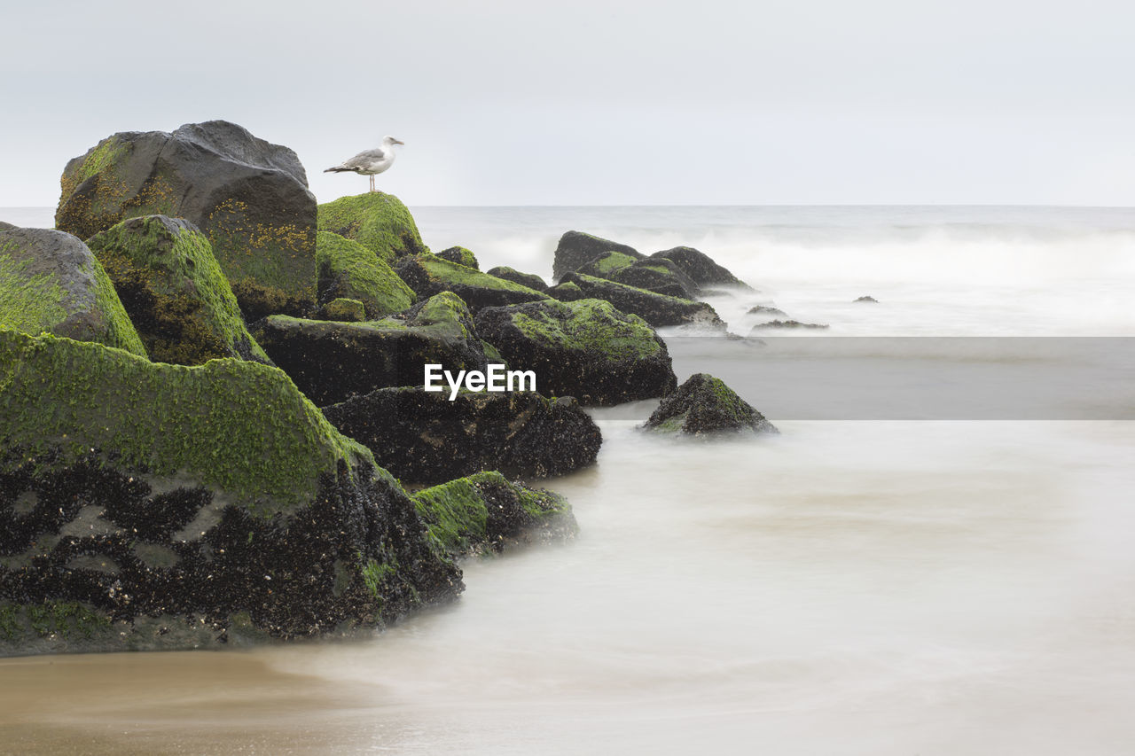 ROCKS ON SHORE AGAINST CLEAR SKY