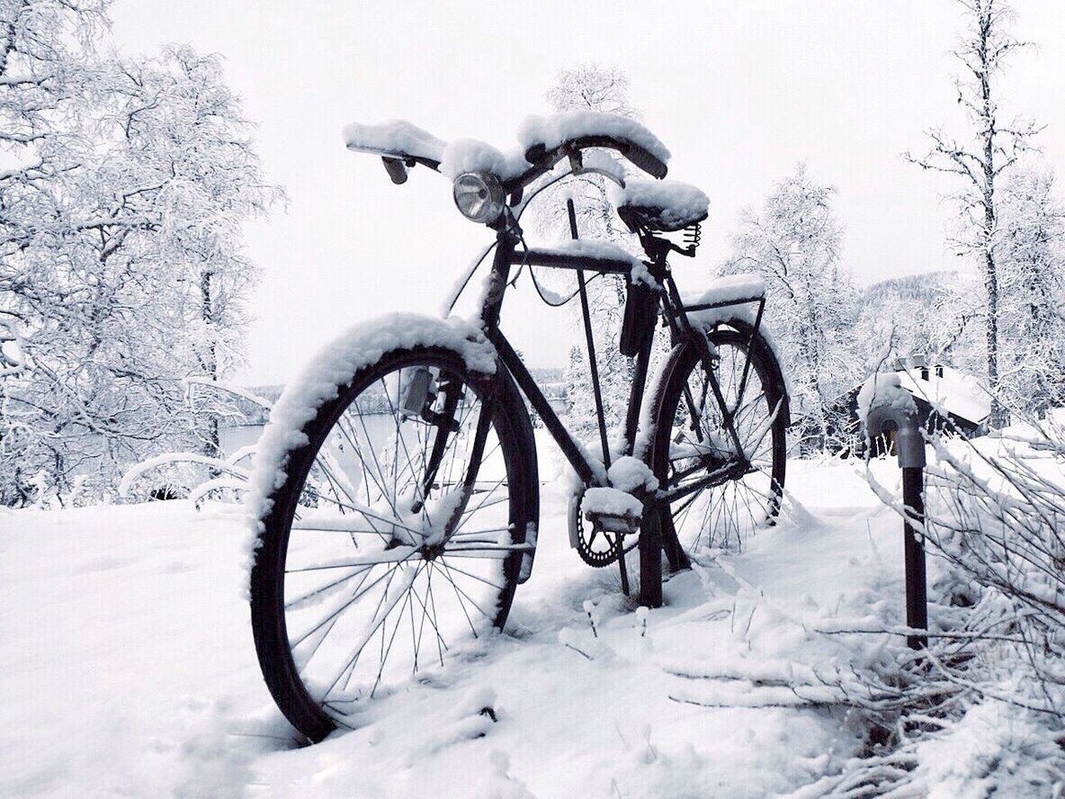 BICYCLE ON FIELD DURING WINTER