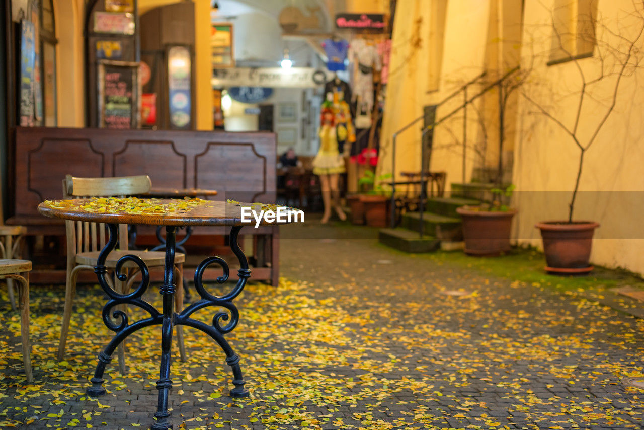 yellow, architecture, table, seat, city, autumn, building exterior, no people, street, built structure, building, chair, food and drink, nature, absence, cafe, flower, outdoors, illuminated, plant, business, restaurant, furniture, road, empty, night, food