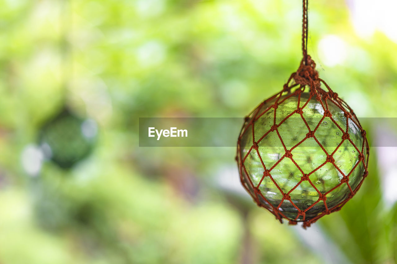 CLOSE-UP OF CHRISTMAS TREE HANGING ON BRANCH