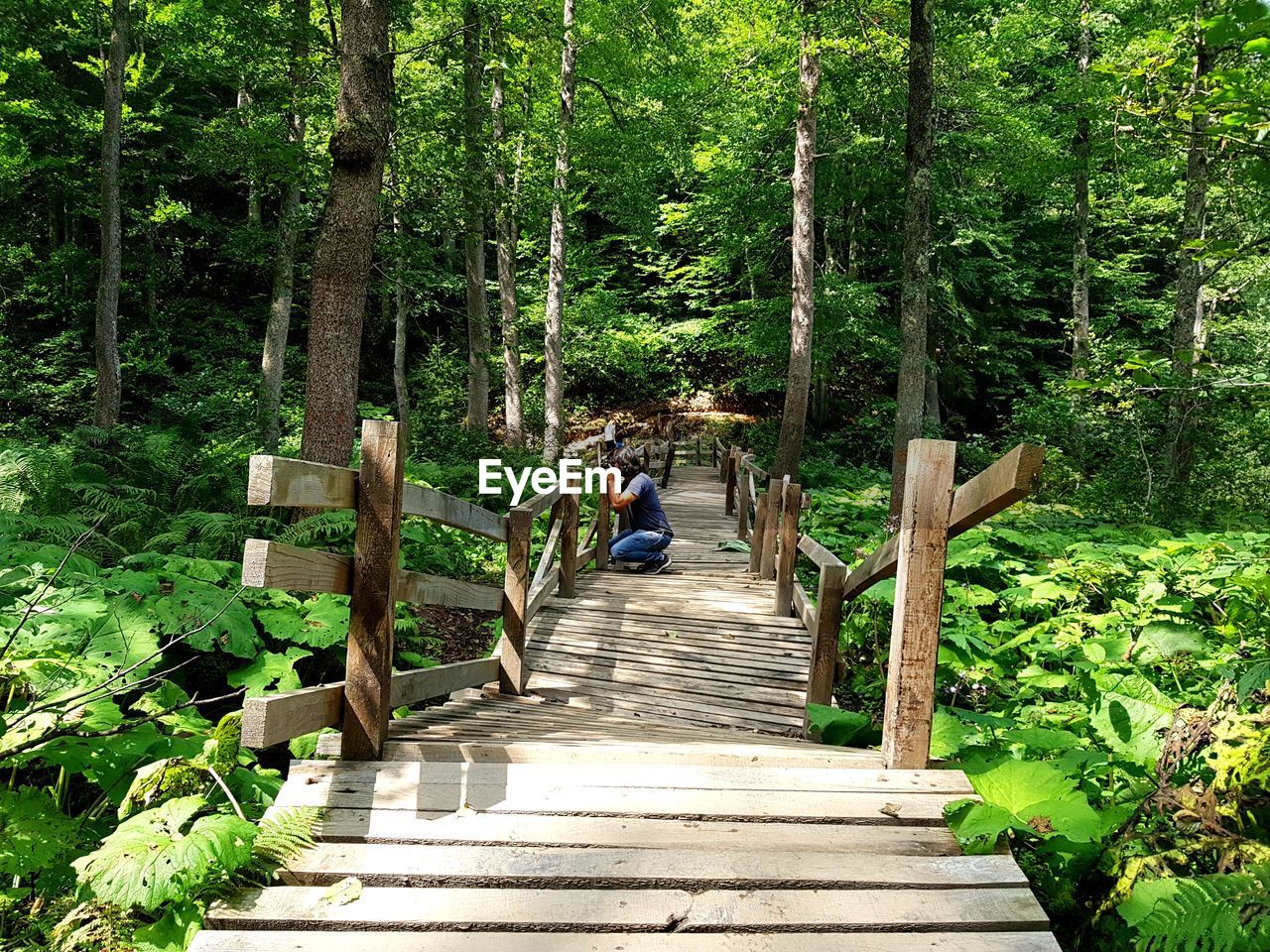 Side view of man crouching on steps in forest