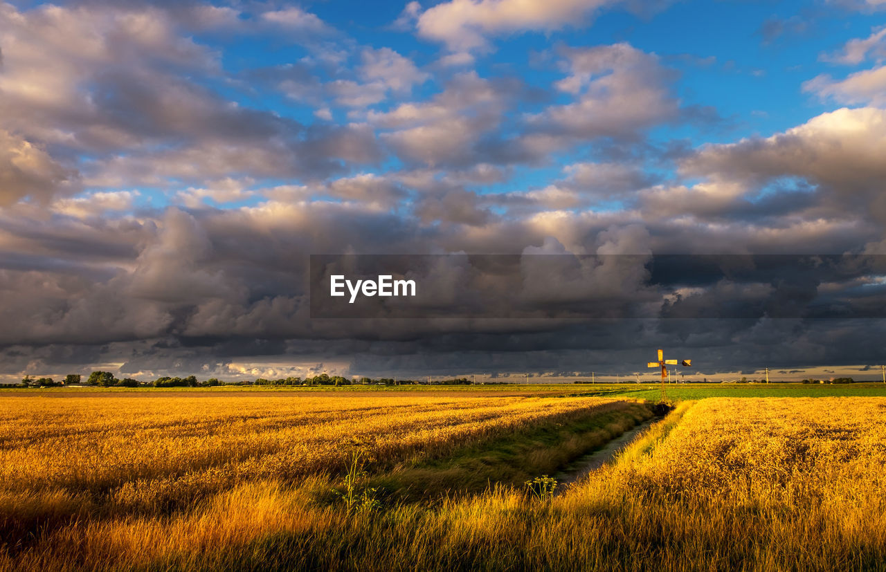 SCENIC VIEW OF AGRICULTURAL FIELD AGAINST SKY DURING SUNSET