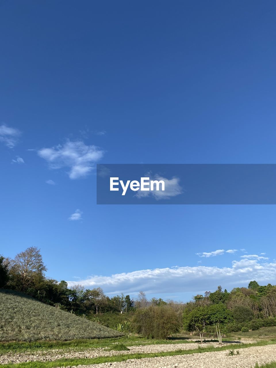 sky, blue, nature, cloud, water, sunlight, beauty in nature, environment, scenics - nature, land, day, plant, no people, outdoors, sea, panoramic, tree, landscape, tranquility, beach, travel, reflection, copy space, travel destinations