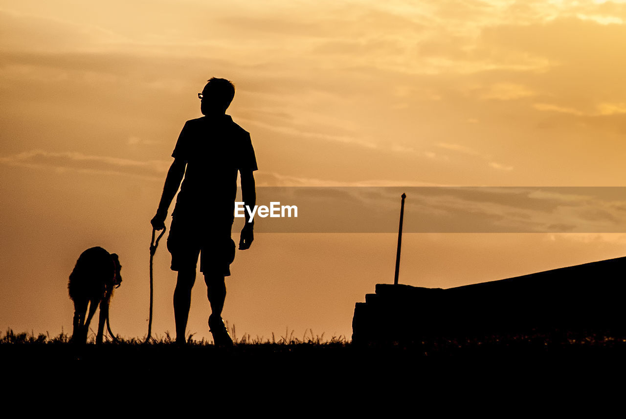 REAR VIEW OF SILHOUETTE MAN STANDING ON FIELD AGAINST SKY