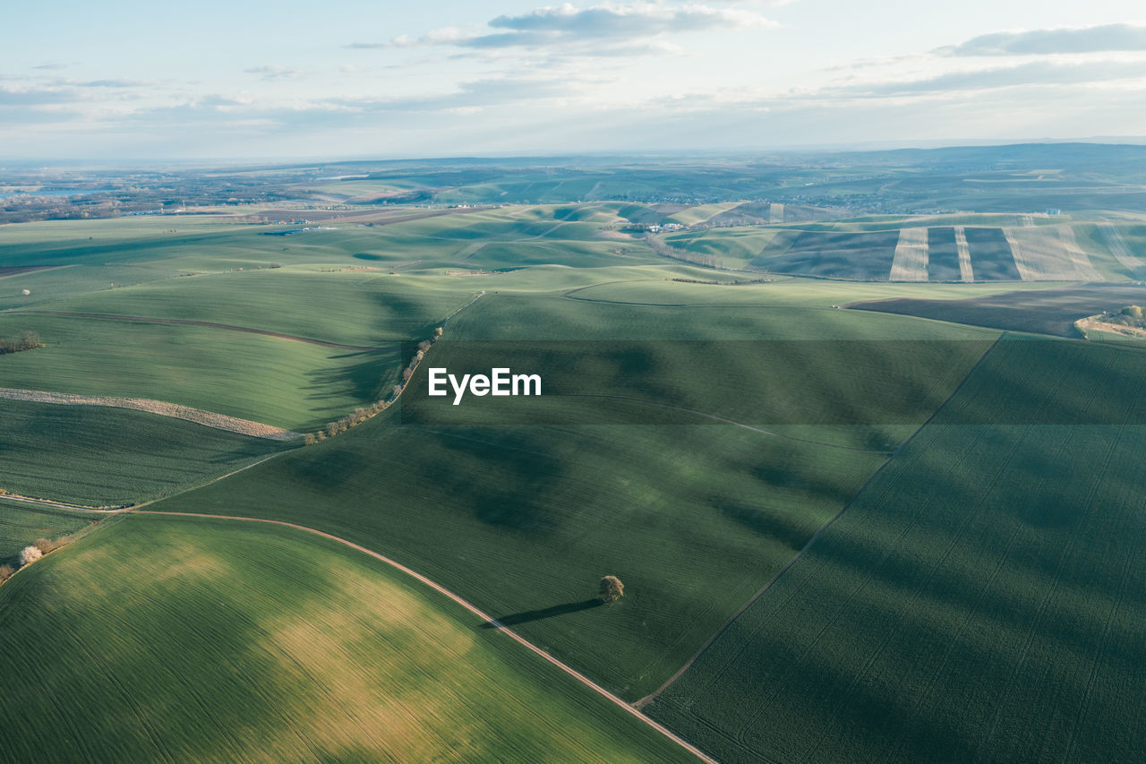 Wavy meadows spring landscape in south moravia, czech republic