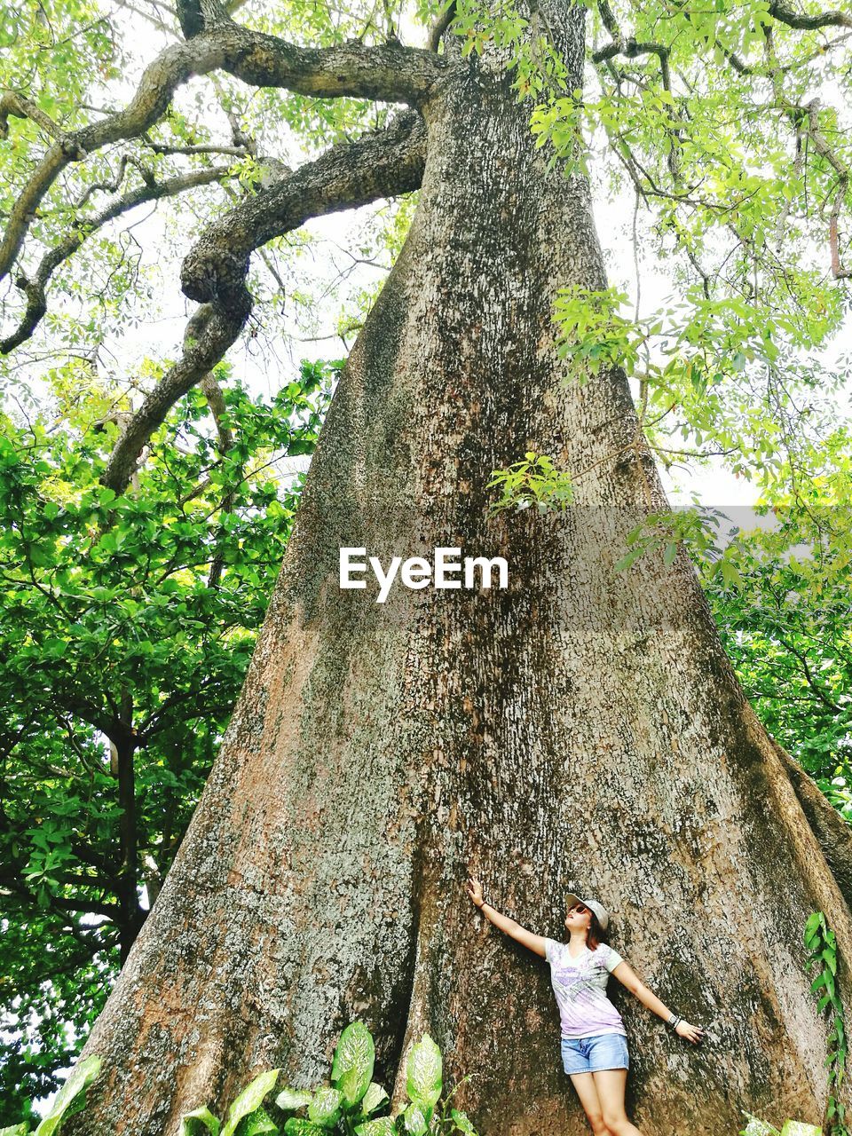 Woman standing by tall tree in forest