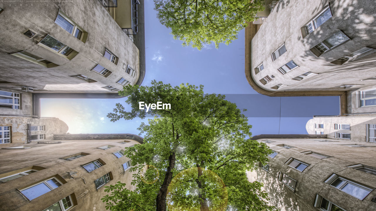 Directly below shot of buildings and trees against sky