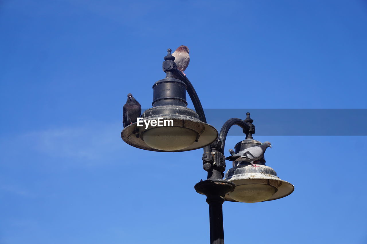 Low angle view of street light against blue sky