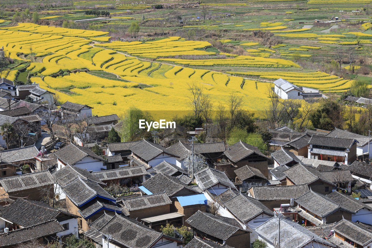 Aerial view of agricultural field