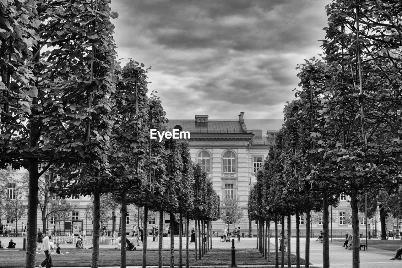 TREES IN CITY AGAINST SKY