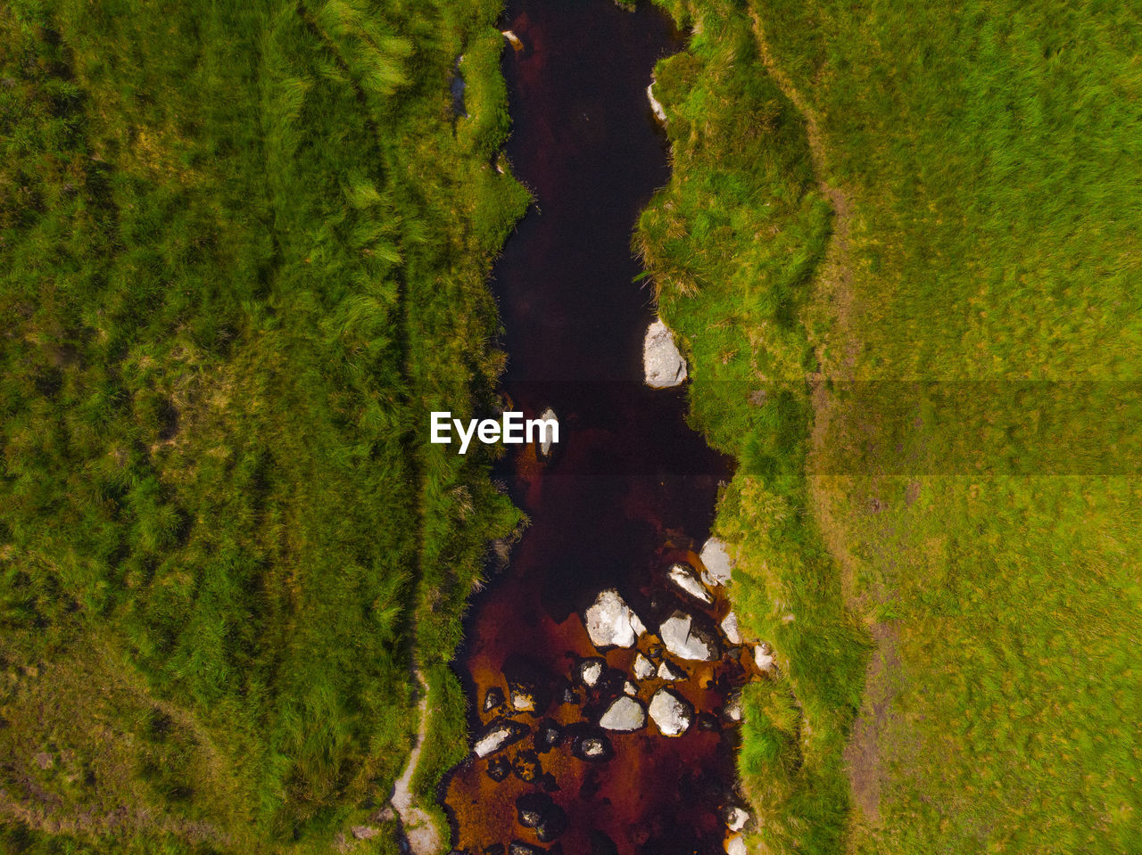 HIGH ANGLE VIEW OF TREE TRUNK BY LAKE